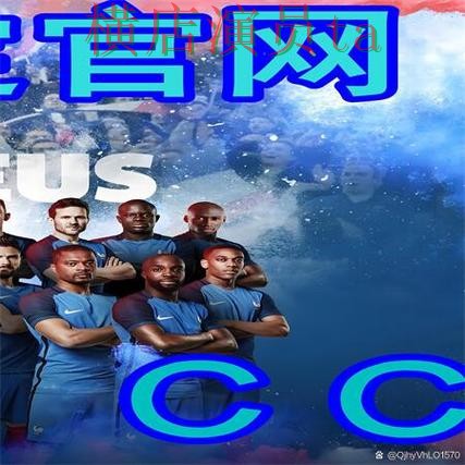 世界杯买球网站解析报告：数据分析与实际体验总结 - 世界杯数据